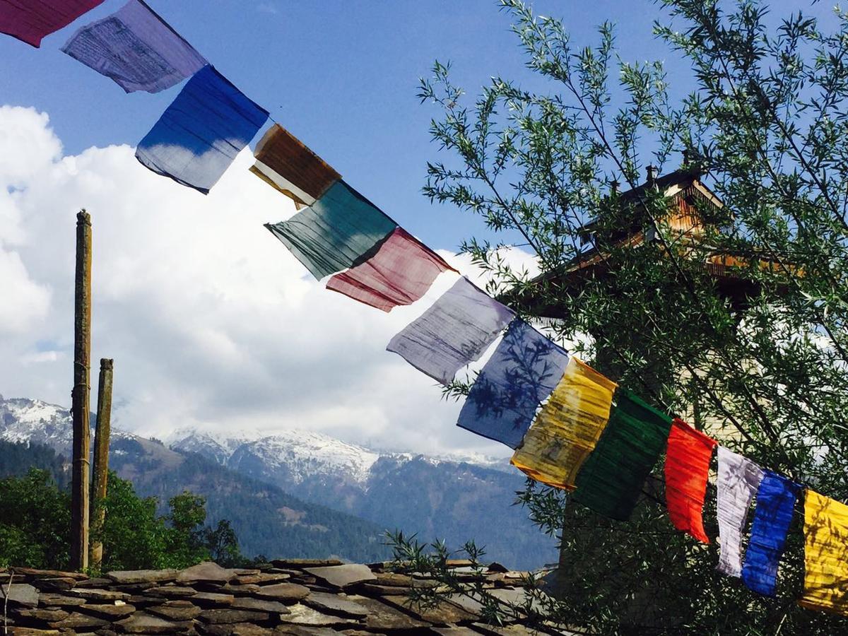 Bros Hostel Manali Manāli Exterior foto